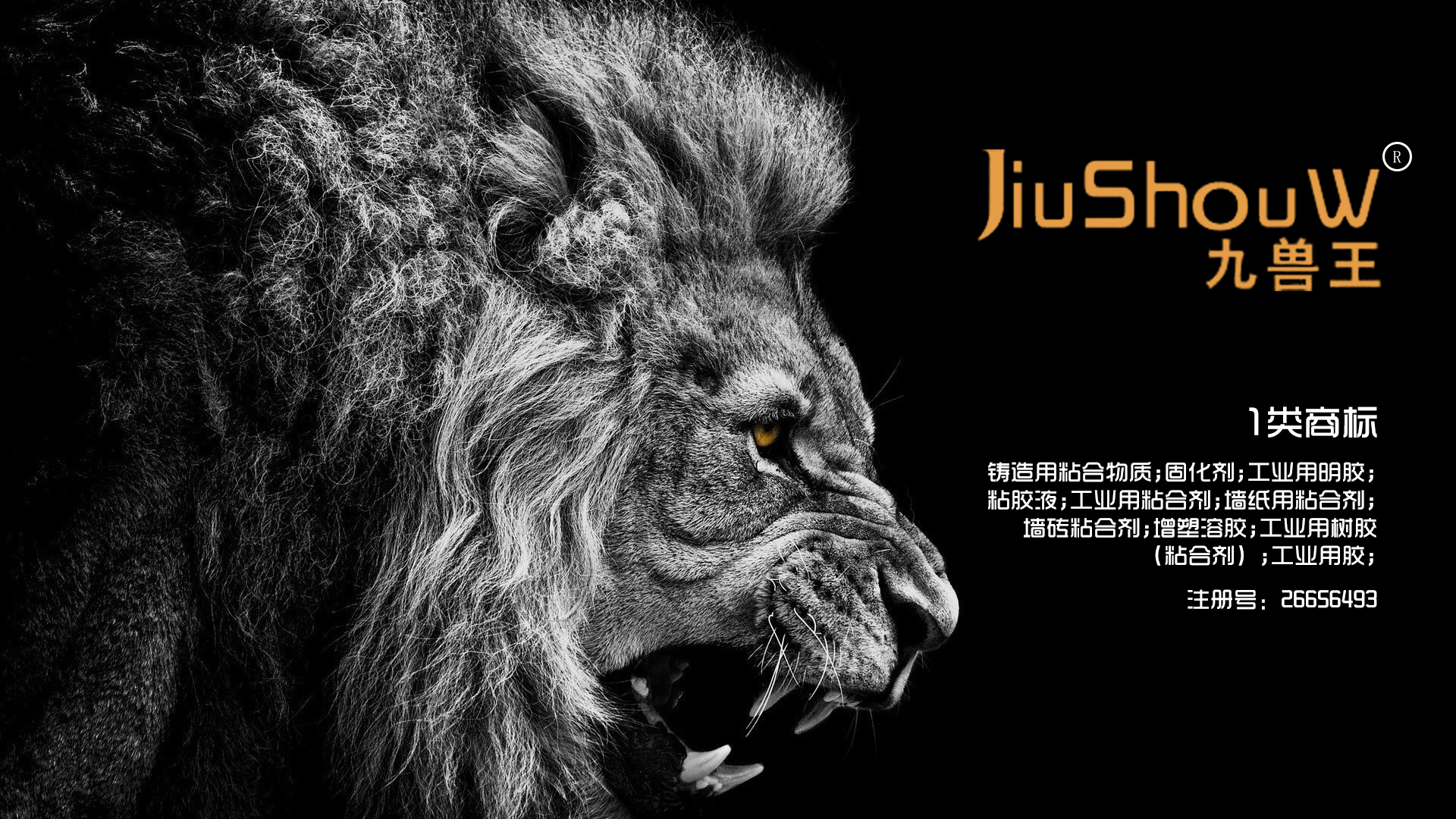 1類-九獸王.jpg