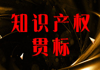 知識產(chǎn)權(quán)貫標(biāo)